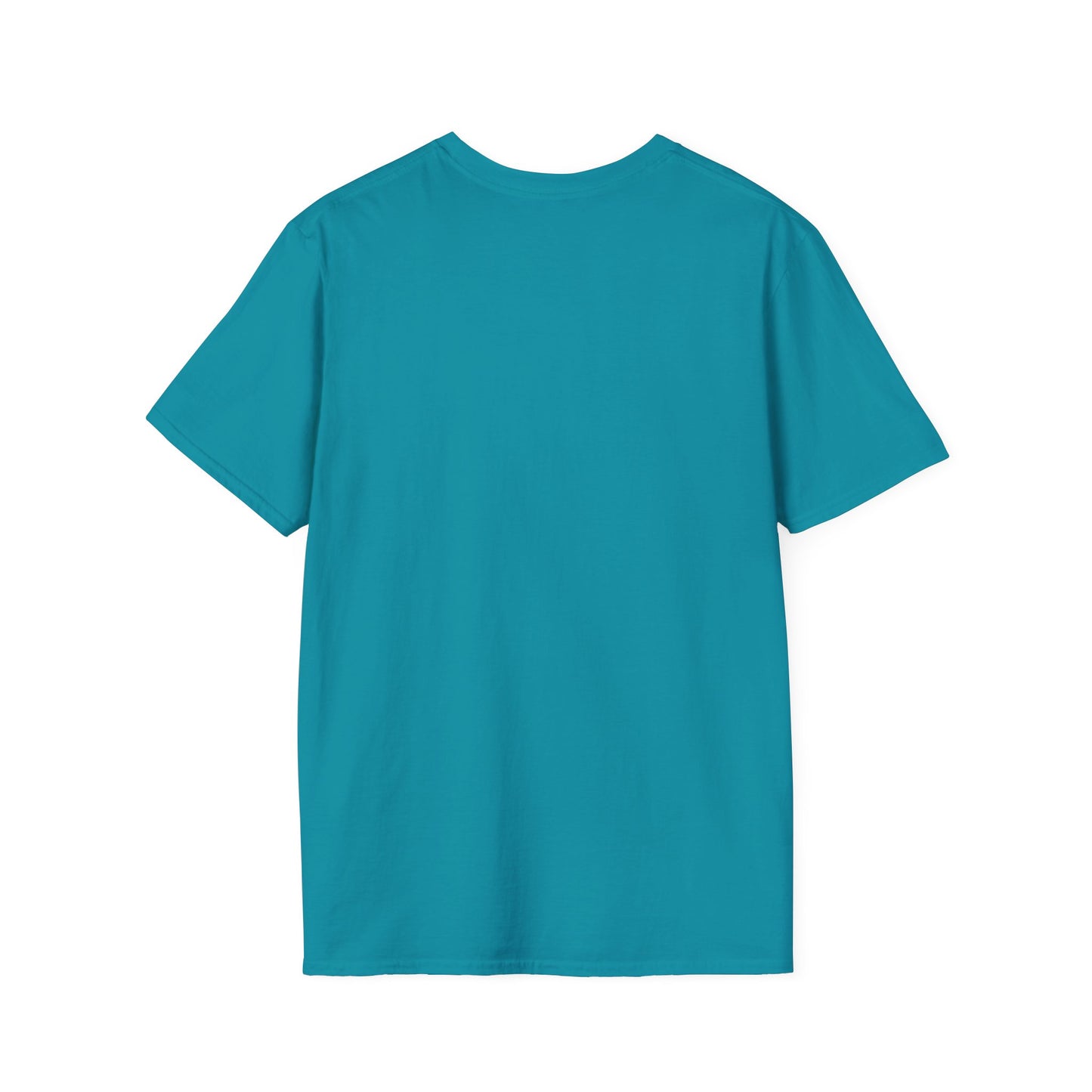 BAIR HUGGER | Unisex Softstyle T-Shirt